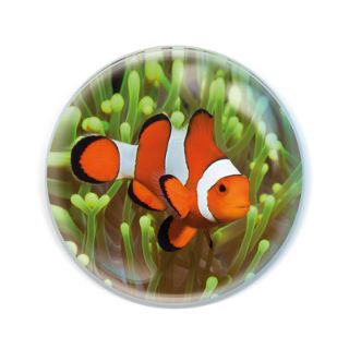 Obrázek z Magnet kulatý 5cm - klaun očkatý (12) 